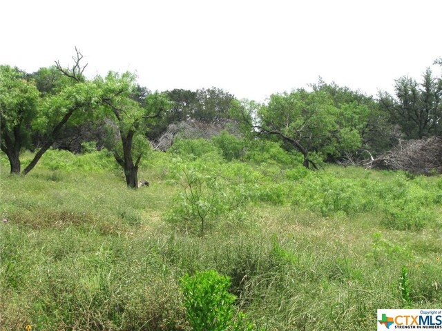 LOT54 Buffalo Creek Dr, Evant, TX 76525 - photo 7
