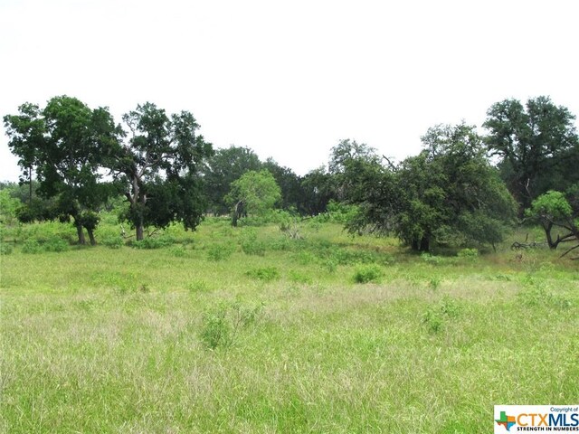 LOT54 Buffalo Creek Dr, Evant, TX 76525 - photo 11