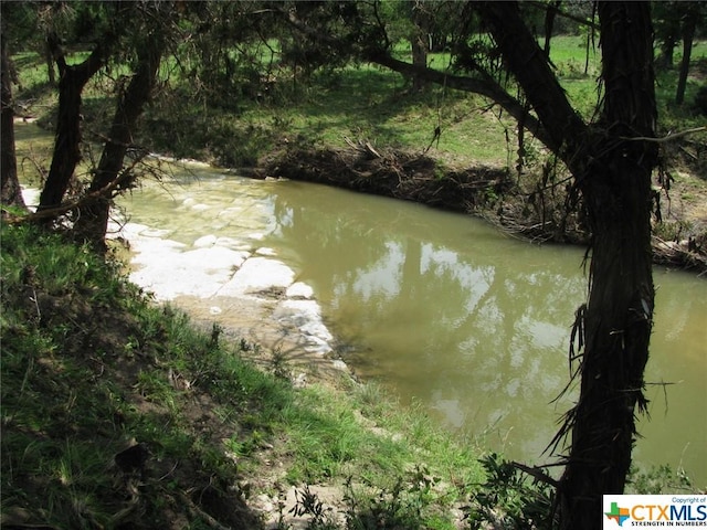 LOT54 Buffalo Creek Dr, Evant, TX 76525 - photo 2