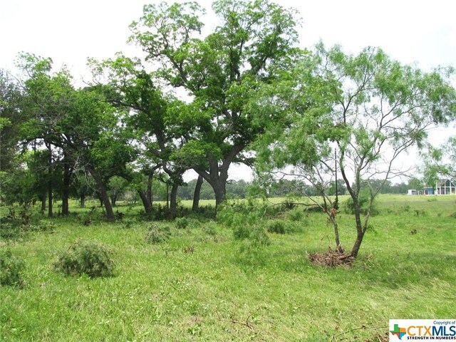 LOT54 Buffalo Creek Dr, Evant, TX 76525 - photo 18