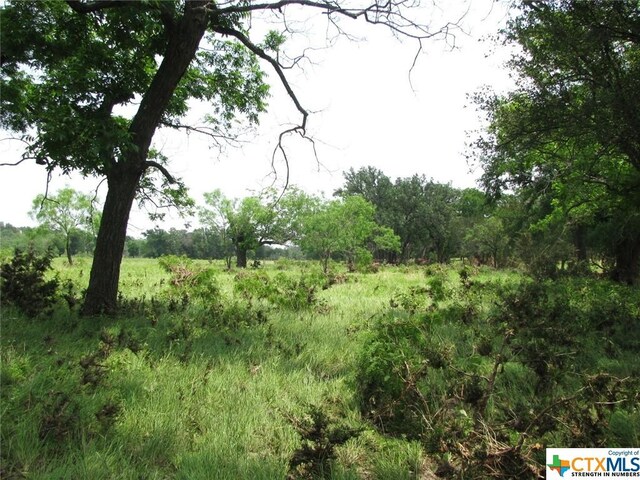 LOT54 Buffalo Creek Dr, Evant, TX 76525 - photo 17