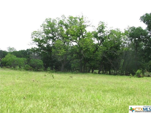 LOT54 Buffalo Creek Dr, Evant, TX 76525 - photo 14