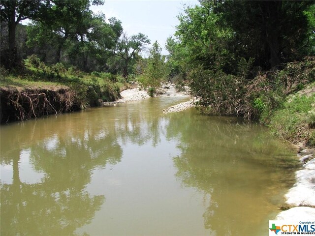 LOT54 Buffalo Creek Dr, Evant, TX 76525 - photo 4