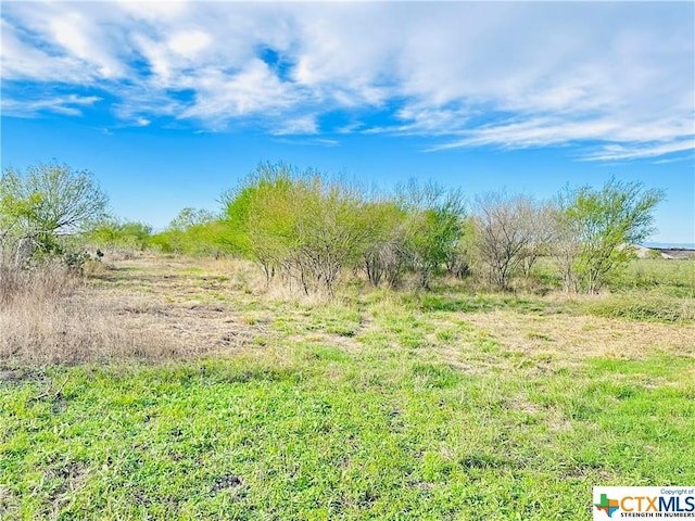 TBD County Rd 152, Kenedy, TX 78119 - photo 24