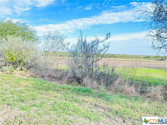 TBD County Rd 152, Kenedy, TX 78119 - photo 23