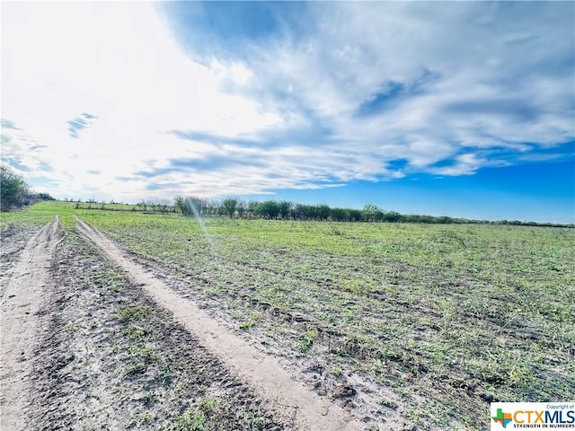 TBD County Rd 152, Kenedy, TX 78119 - photo 22