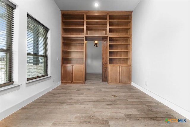 interior space featuring light wood-type flooring and a healthy amount of sunlight