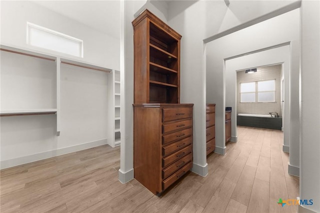 spacious closet with light hardwood / wood-style floors