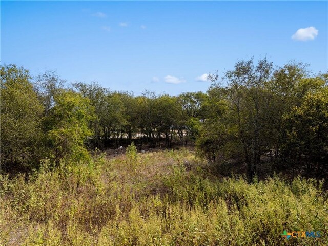 12430 Bendle Rd, Troy TX, 76579 land for sale