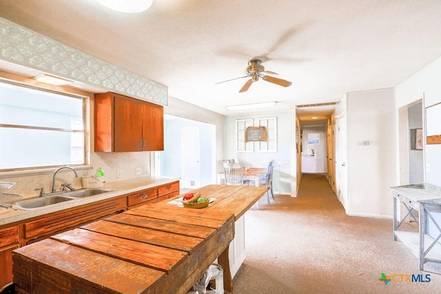 kitchen featuring a wealth of natural light, ceiling fan, sink, and light colored carpet