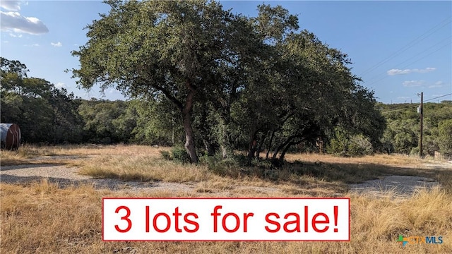 LOTS24,25, Campfire, Spring Branch TX, 78070 land for sale