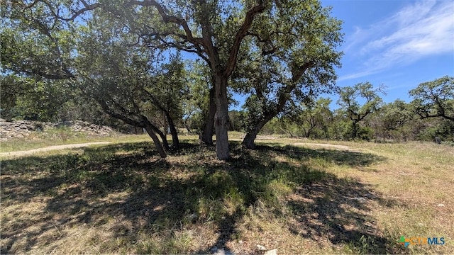 LOTS24, 25 Campfire, Spring Branch, TX 78070