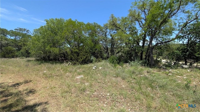 LOTS24, 25 Campfire, Spring Branch, TX 78070