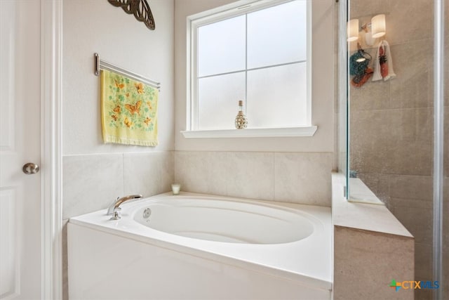 bathroom with a bathtub and a healthy amount of sunlight