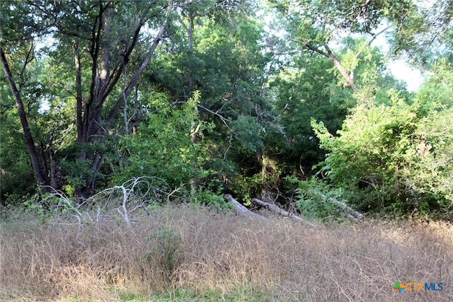 view of local wilderness