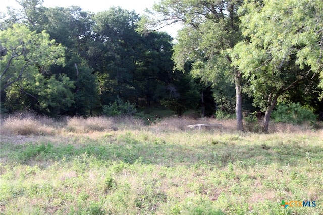 view of local wilderness