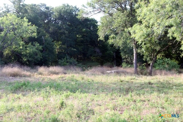 108 Sorrel St, Red Rock, TX 78662 - view of woods