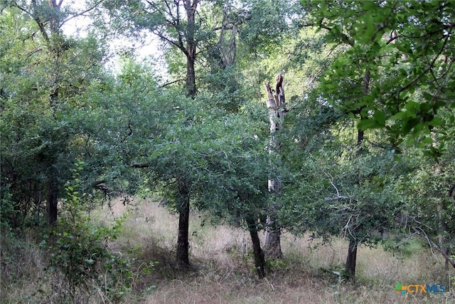 108 Sorrel St, Red Rock, TX 78662 - view of woods