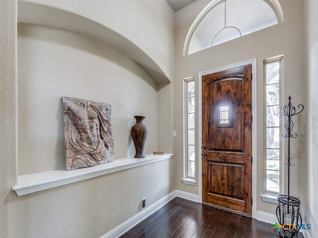 foyer with dark hardwood / wood-style flooring and plenty of natural light