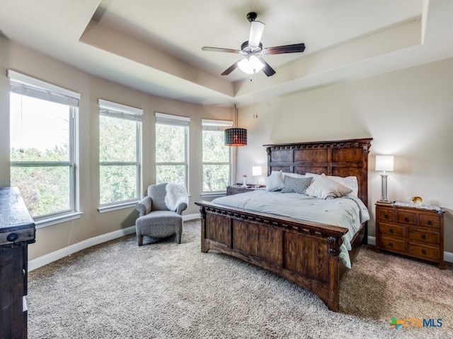 bedroom featuring multiple windows, light carpet, and a raised ceiling