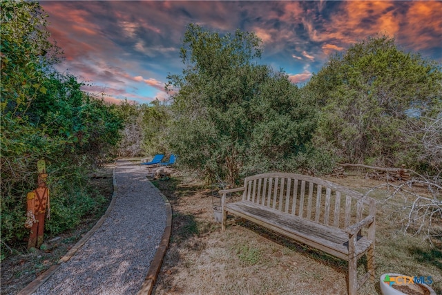 view of yard at dusk