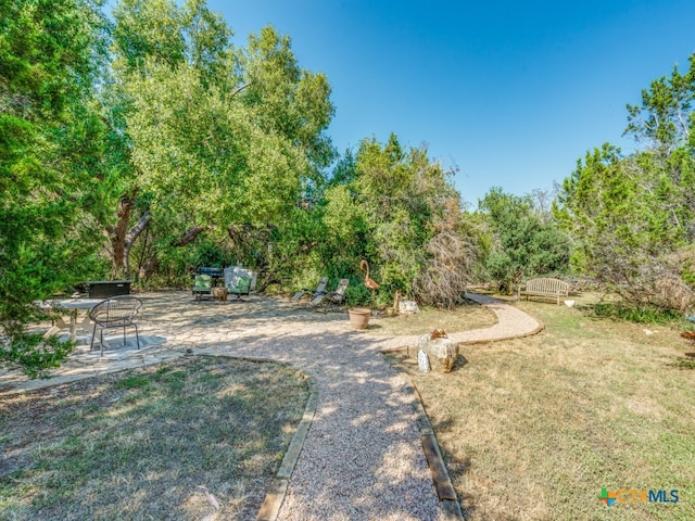 view of yard featuring a patio