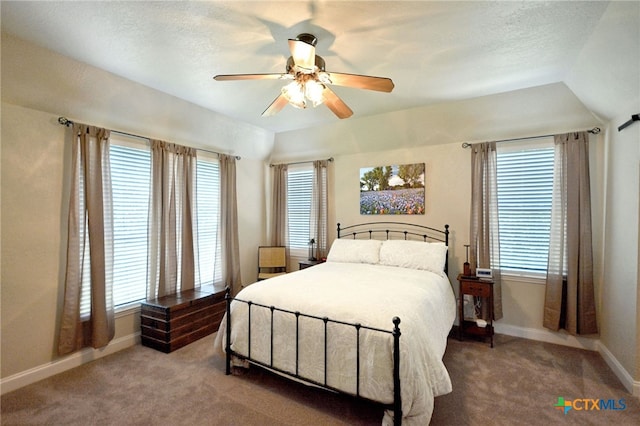 325 Fair Ln, New Braunfels, TX 78130 - photo 17
