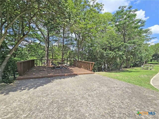 325 Fair Ln, New Braunfels, TX 78130 - photo 46