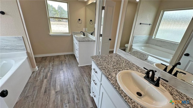 bathroom with wood finished floors, a sink, two vanities, and a bath