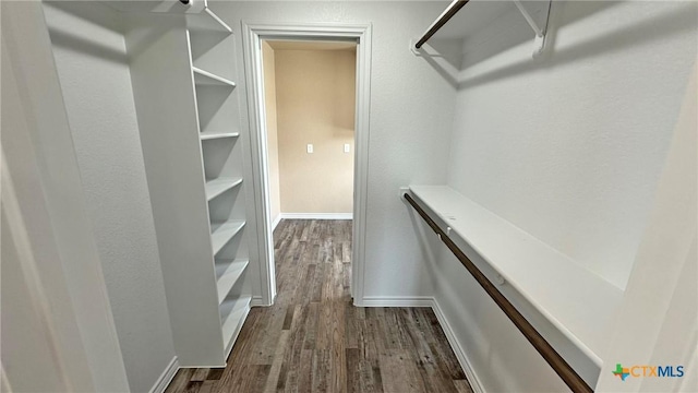 spacious closet featuring dark wood-style flooring