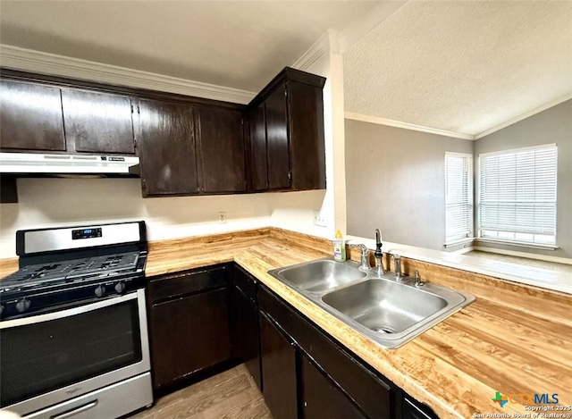 kitchen with stainless steel gas stove, sink, butcher block counters, ornamental molding, and dark brown cabinets