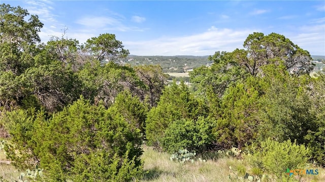 128 Enigma Ave, Spring Branch, TX 78070 - photo 2