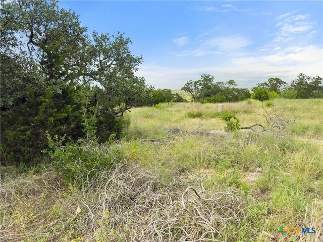 128 Enigma Ave, Spring Branch, TX 78070 - photo 10