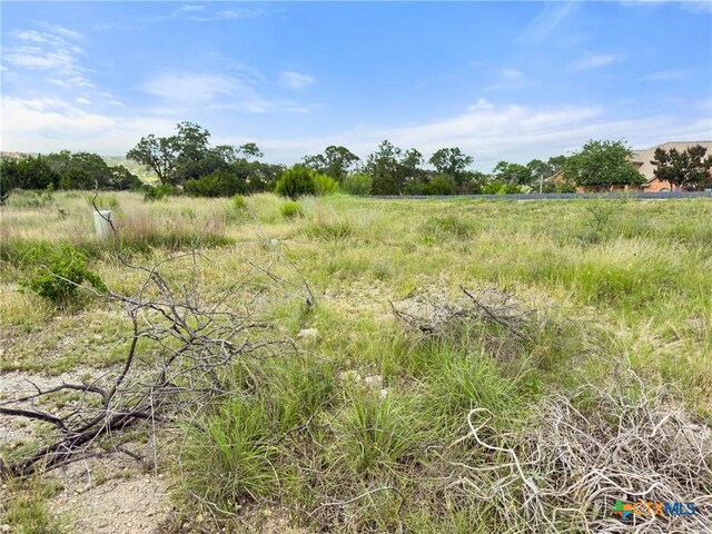 128 Enigma Ave, Spring Branch, TX 78070 - photo 7