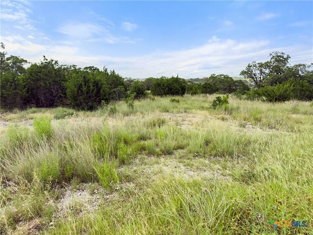 128 Enigma Ave, Spring Branch, TX 78070 - photo 13