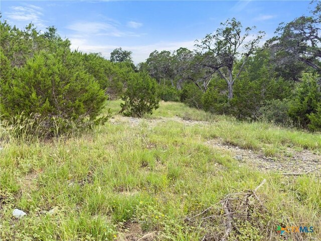 128 Enigma Ave, Spring Branch, TX 78070 - photo 9