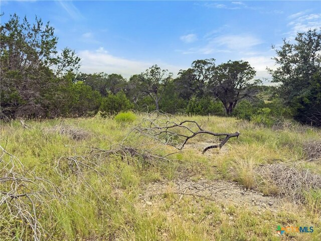 128 Enigma Ave, Spring Branch, TX 78070 - photo 6