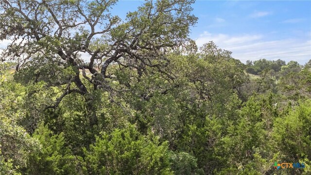 128 Enigma Ave, Spring Branch, TX 78070 - photo 3