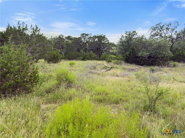 128 Enigma Ave, Spring Branch, TX 78070 - photo 5