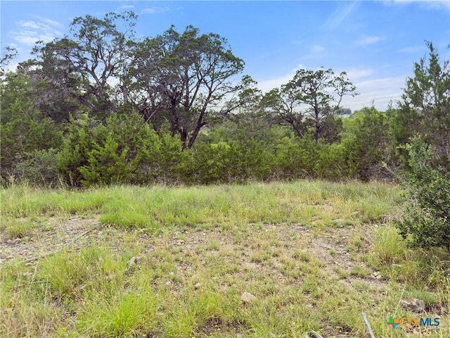 128 Enigma Ave, Spring Branch, TX 78070 - photo 8