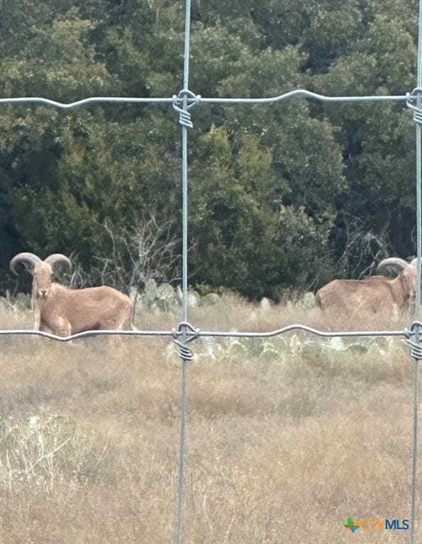 000 County Road 104th Rd, Lampasas, TX 76550 - photo 10