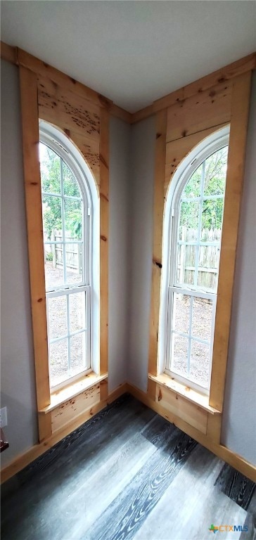 spare room featuring dark hardwood / wood-style flooring and plenty of natural light