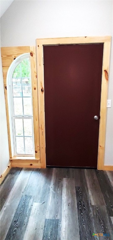 interior space with wood-type flooring and lofted ceiling