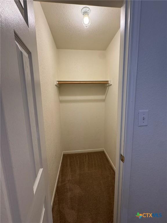 spacious closet featuring carpet flooring