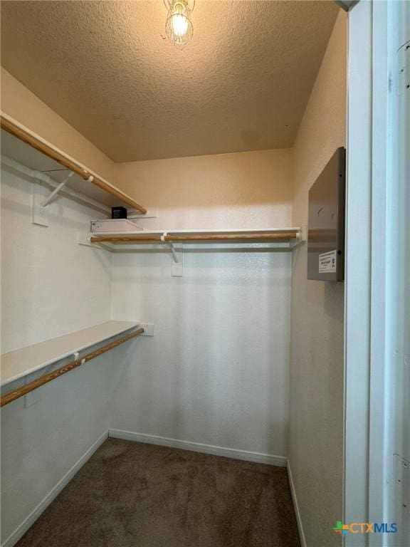 walk in closet with dark colored carpet