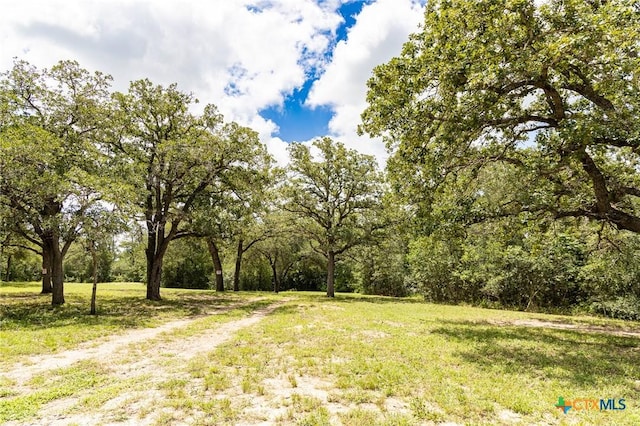 2915 County Road 354, Gonzales, TX 78629 - photo 27
