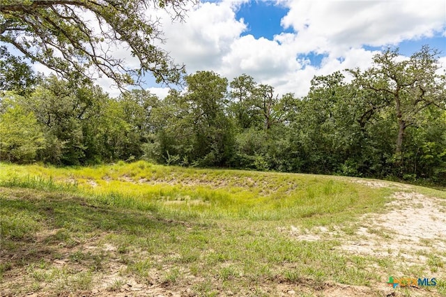 2915 County Road 354, Gonzales, TX 78629 - photo 28