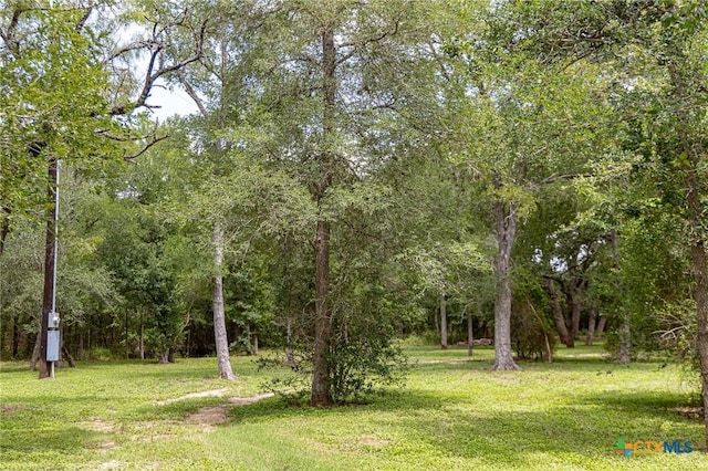 2915 County Road 354, Gonzales, TX 78629 - photo 30