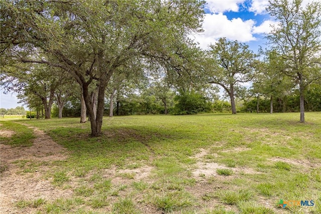 2915 County Road 354, Gonzales, TX 78629 - photo 26