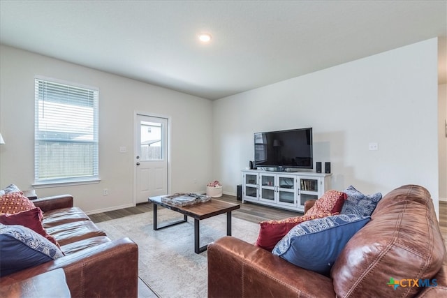 living room featuring light hardwood / wood-style flooring